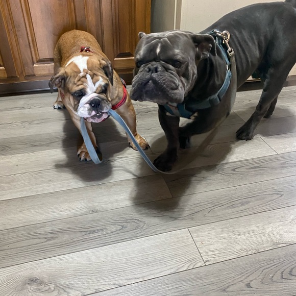 meet your posher, Jordynn - Picture 5 of 9